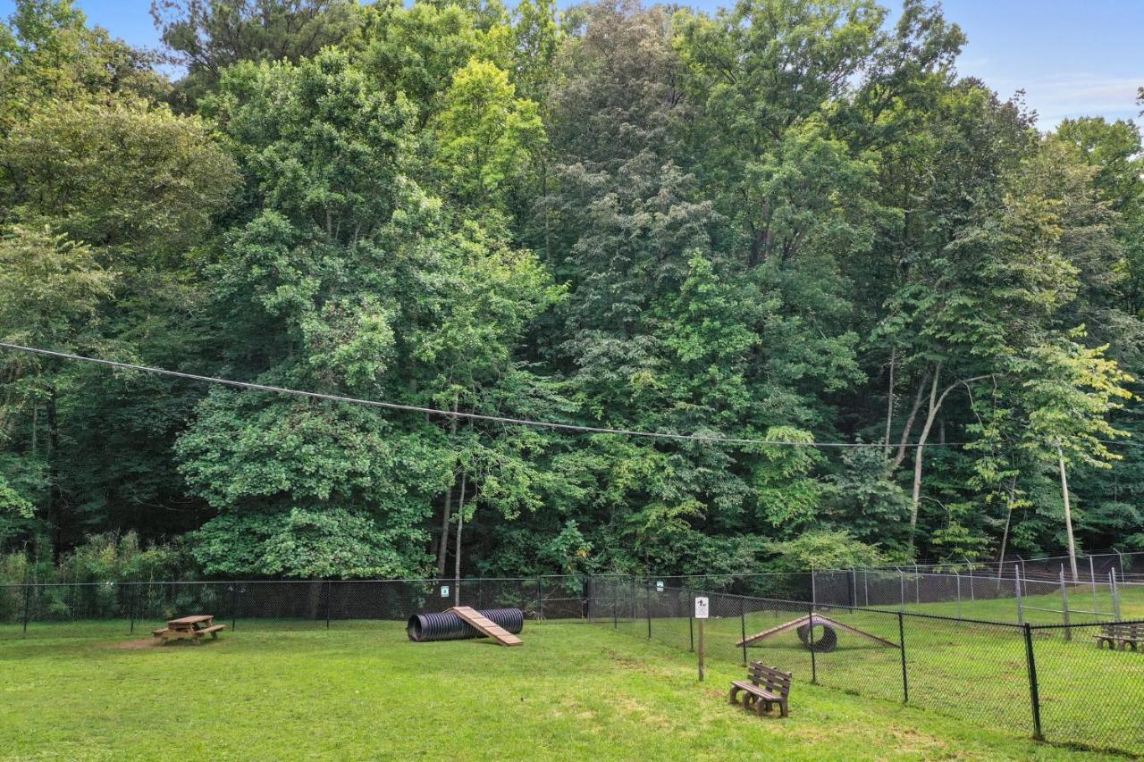 2 Separate Cabins Along A Peaceful Creek With Resort Amenities Ellijay Kültér fotó